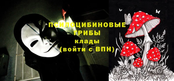 индика Нефтекумск